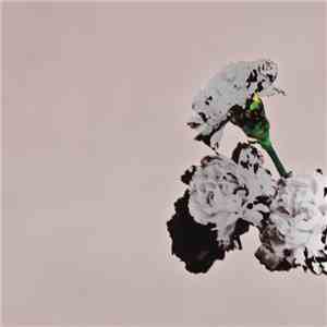 John Legend - Love In The Future mp3 album