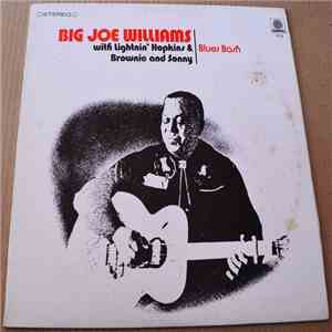 Lightnin' Hopkins, Brownie McGhee, Sonny Terry, Big Joe Williams - Blues Bash mp3 album