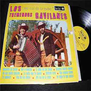 Los Tremendos Gavilanes - Me Cai de la Nube mp3 album