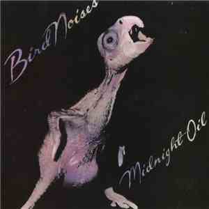 Midnight Oil - Bird Noises mp3 album
