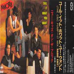 New Kids On The Block - Call It What You Want mp3 album