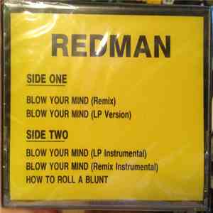 Redman - Blow Your Mind mp3 album