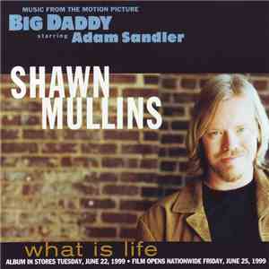 Shawn Mullins - What Is Life mp3 album