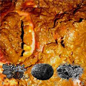 Stercoraceous Copremesis Rhinorrhea / Salmonella Infection Causes Unpredictable Painful Regurgitant Stomach Contents Of Acid, Bile And Intestinal Worms / Epiploenterocele Pusliquid Wormchunk - F L U X mp3 album