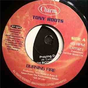 Tony Roots - Burning Fire mp3 album