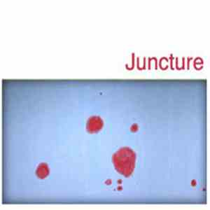 Various - Juncture mp3 album