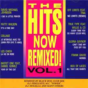 Various - The Hits Now Remixed! Vol. 1 mp3 album