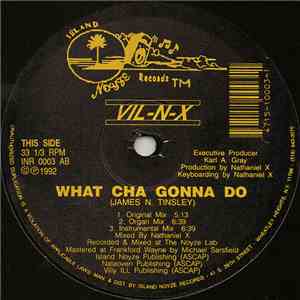 Vil-N-X - What Cha Gonna Do mp3 album