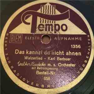 Walter Raatzke M. S. Orchester - Das Kannst Du Nicht Ahnen / Ess Dat Dann Nix Marie? mp3 album