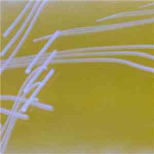Alviar - Pin mp3 album