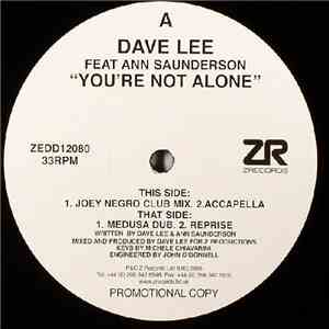 Dave Lee Feat Ann Saunderson - You're Not Alone mp3 album