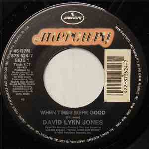 David Lynn Jones - When Times Were Good mp3 album