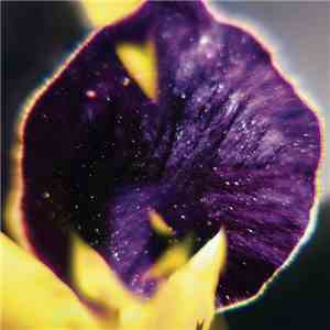 FIS  - From Patterns To Details mp3 album
