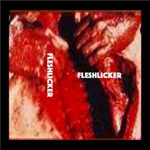 FLESHLICKER - Fleshlicker mp3 album