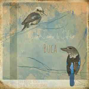Ilario Liburni & Deltano - Buca mp3 album