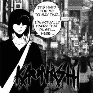 Kaonashi  - You'll Understand When You're Older mp3 album