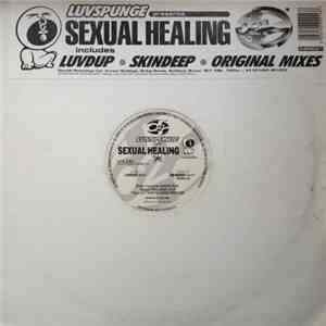 Luvspunge - Sexual Healing mp3 album