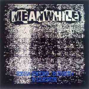 Meanwhile - Remaining Right: Silence mp3 album