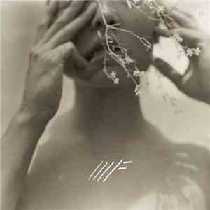 Mother Falcon - You Knew mp3 album