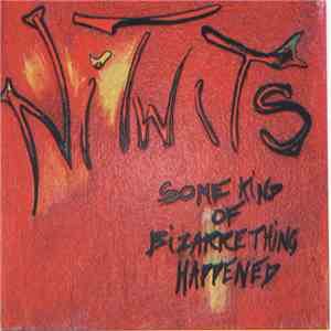 Nitwits  - Some Kind Of Bizarre Thing Happened mp3 album
