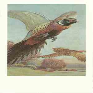 No Artist - Ring-Necked Pheasant mp3 album