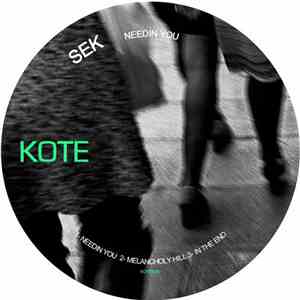 Sek  - Needin You mp3 album