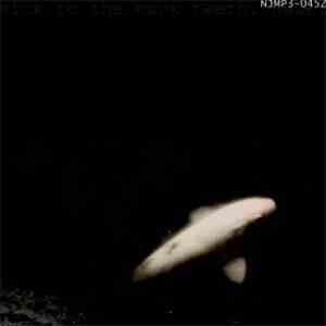 Sick To The Back Teeth - Haze mp3 album