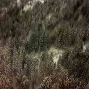 The Analog Roland Orchestra - Natagonia mp3 album