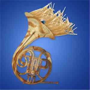 Various - Pingipung Blows: The Brass mp3 album