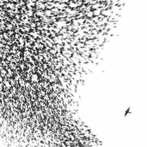 Wilco - Sky Blue Sky mp3 album