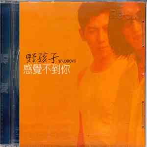 野孩子  = Wildboys - 感覺不到你 mp3 album