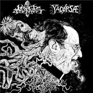 Yacøpsæ / Irate Architect - Split 10" mp3 album