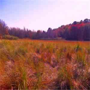Ajna  - Indian Island mp3 album