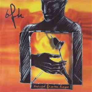 BFH - Burned From Hope mp3 album