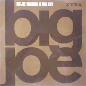 Big Joe - Big Joe Williams At Folk City mp3 album