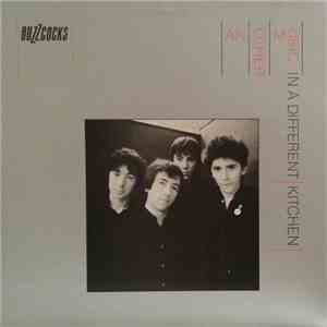 Buzzcocks - Another Music In A Different Kitchen mp3 album