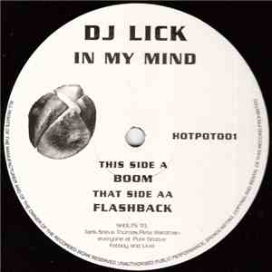 DJ Lick - In My Mind mp3 album