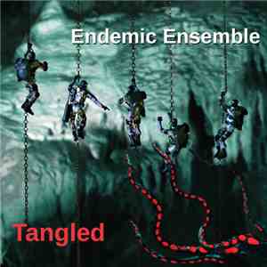 Endemic Ensemble - Tangled mp3 album