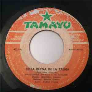 Eraclides Amaya Y Su Conjunto - Bella Reyna De La Palma / Ahora Que Estoy Solito mp3 album