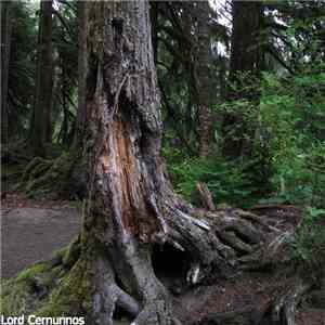 Lord Cernunnos - Old Woods mp3 album