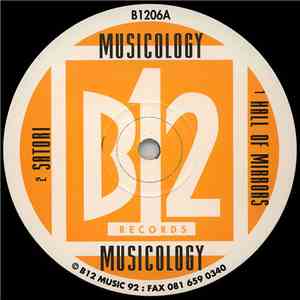 Musicology - Hall Of Mirrors mp3 album