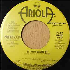 Niteflyte - If You Want It mp3 album