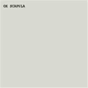Ox Scapula - Cuts mp3 album