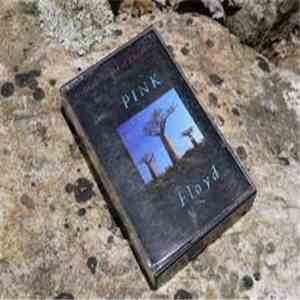 Pink Floyd - Delicate Sound Of Thunder mp3 album