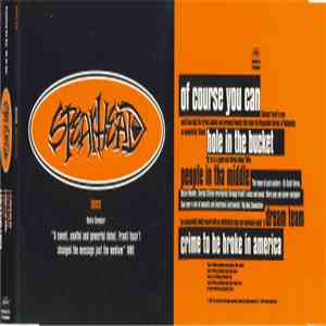 Spearhead - Home (Radio Sampler) mp3 album