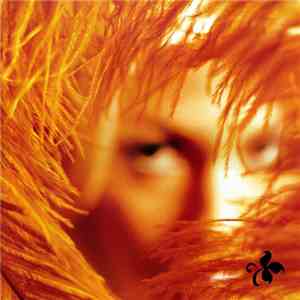 Stone Temple Pilots - Shangri-La Dee Da mp3 album