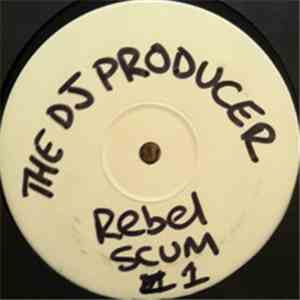 The DJ Producer - Anarchy In A Controlled Environment mp3 album