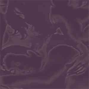 The Girl In The Wooden Horse Torture - Riding Geisha mp3 album