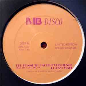 The Kenneth Bager Experience feat. Thomas Troelsen - I Can't Wait mp3 album