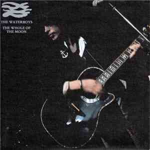 The Waterboys - The Whole Of The Moon mp3 album